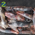 Frozen Squid  Dosidicus Gigas whole round for fishing bait